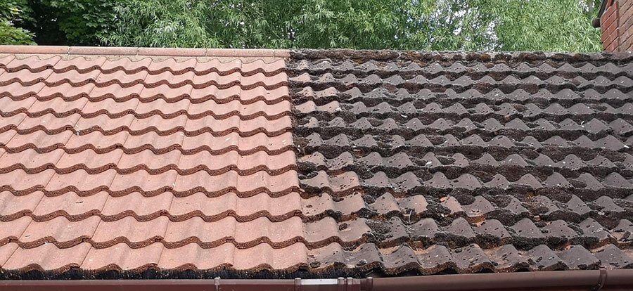 Roof Cleaning
